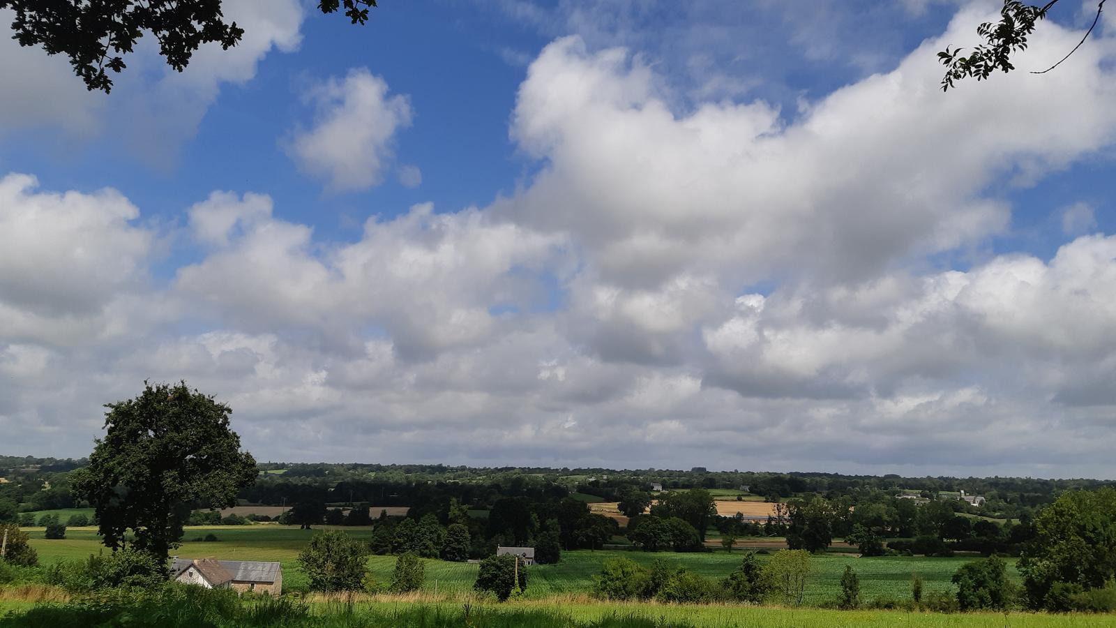Paysage